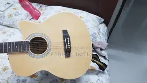 টিজিএম গিটার