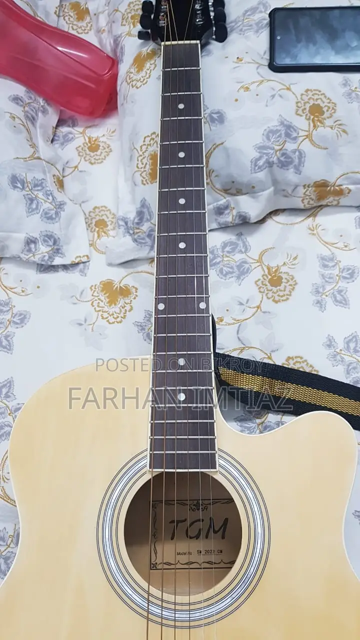 টিজিএম গিটার