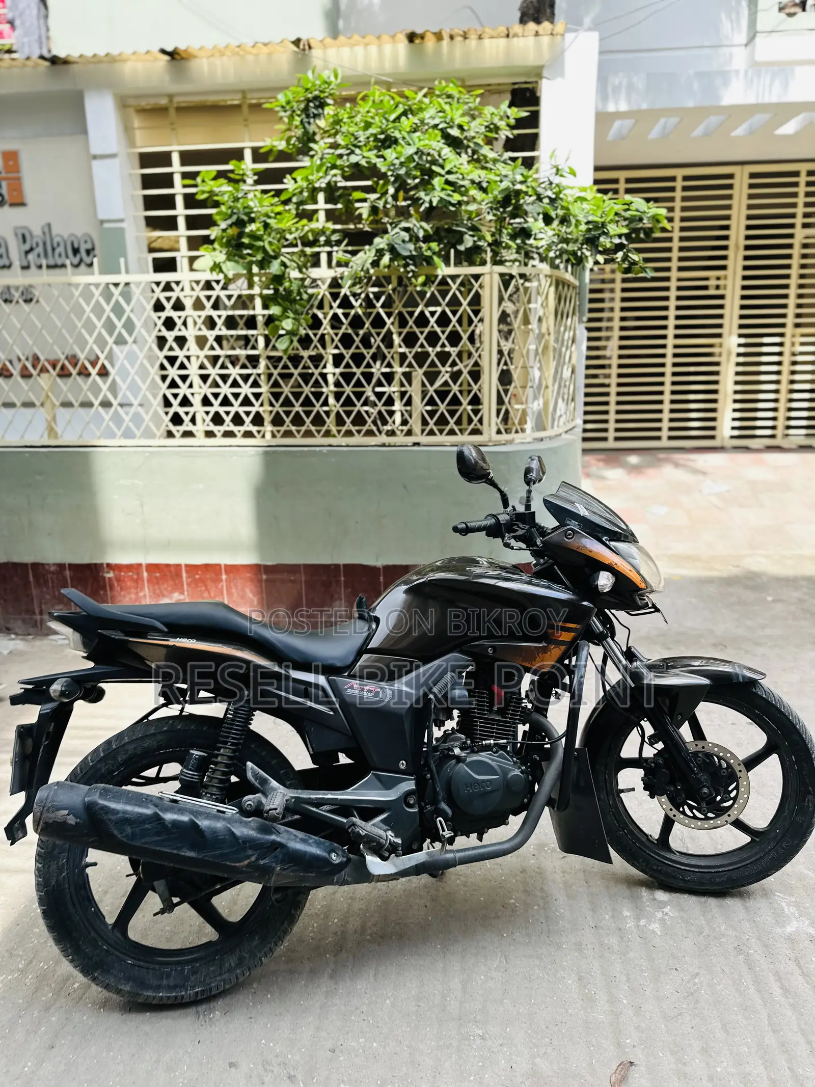 Hero Hunk 2020 Brown