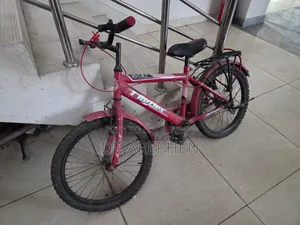 রকি রিফ্লেক্স সাইকেল ২০"