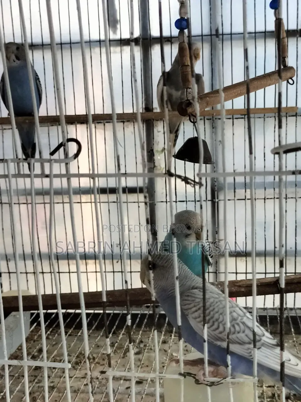 4 Piece Bajjiger