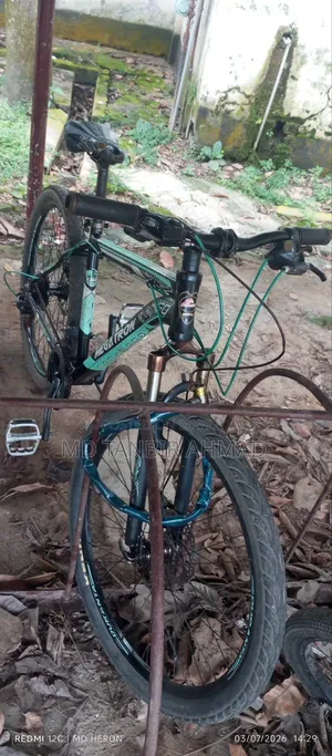 বাই সাইকেল
