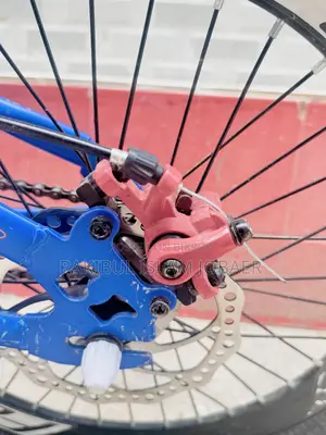 Foxter Kids Bicycle 20” - প্রায় নতুন | ৮-১৫ বছর
