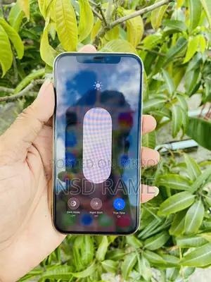 Apple iPhone 12 Pro 256 GB Rose Gold