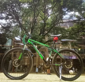 দুরন্ত, (অ্যালান ডাইনামিক= X-500) গিয়ার সাইকেল