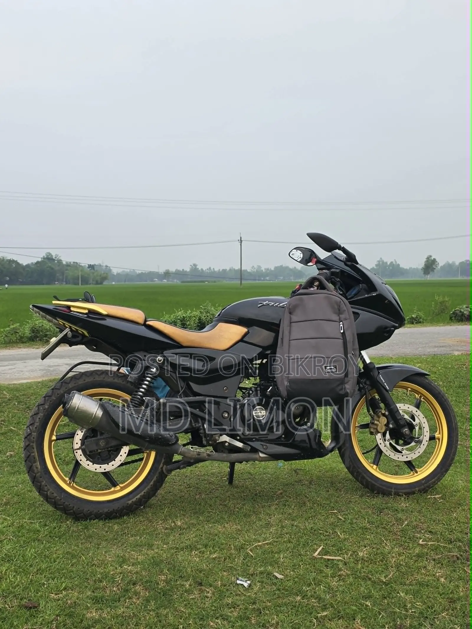 Bajaj Pulsar 150 2019 Black