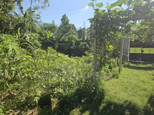 7-Bedroom House in Raiganj for Sale