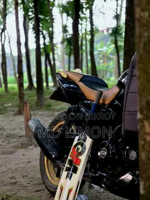 Bajaj Pulsar 150 2019 Black