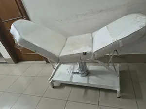 বিউটি সেলুন চেয়ার