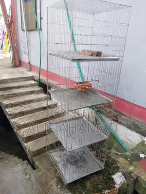 পাখির খাঁচা