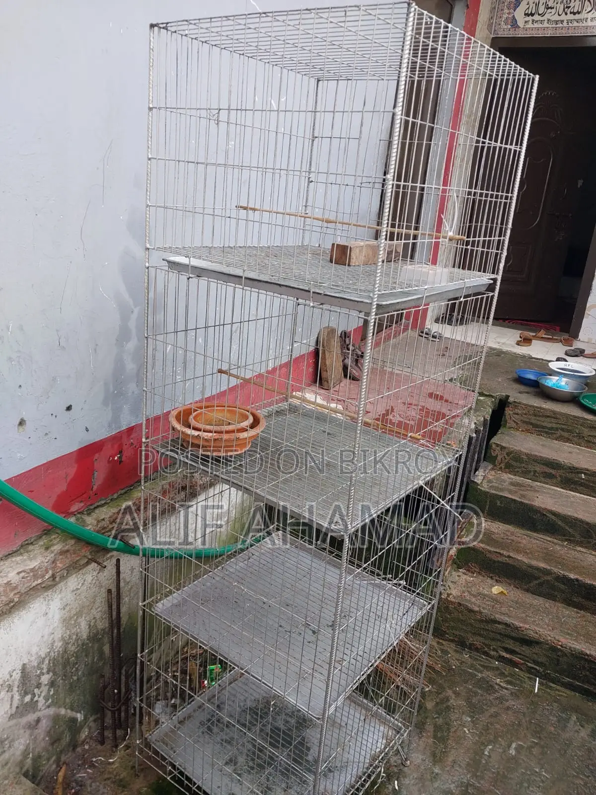 Bird Cage