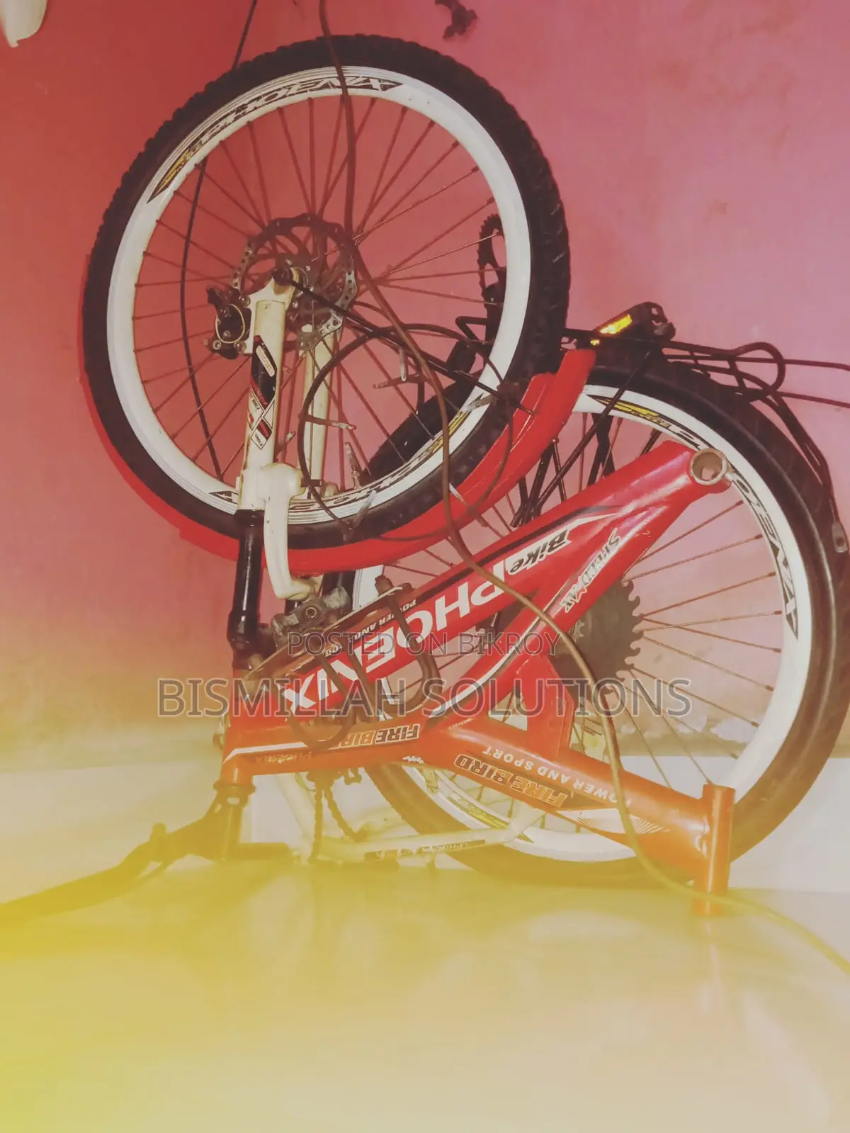 Mountain Bike