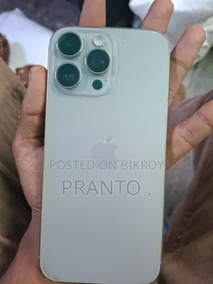 Apple iPhone 16 Pro Max 256 GB Silver
