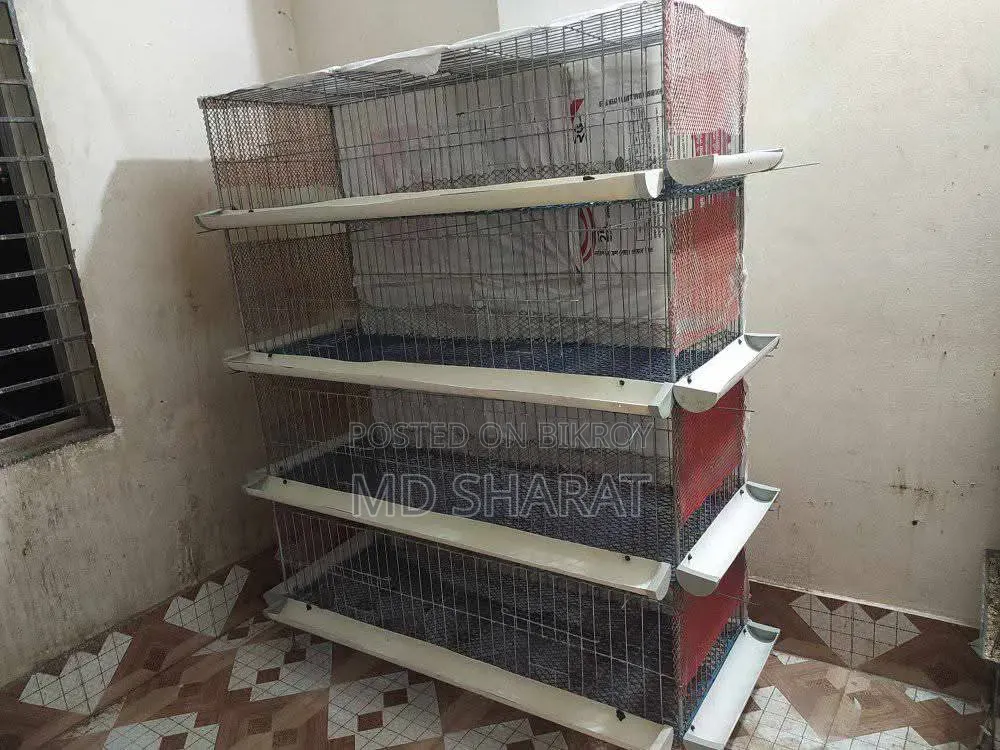 মুরগী, কবুতর ও কোয়েল পাখি পালন করার খাচা