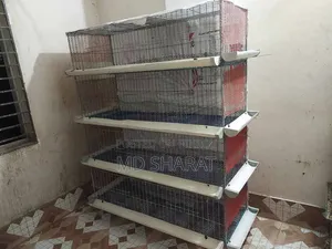 Cage for raising chickens, pigeons, and quail birds