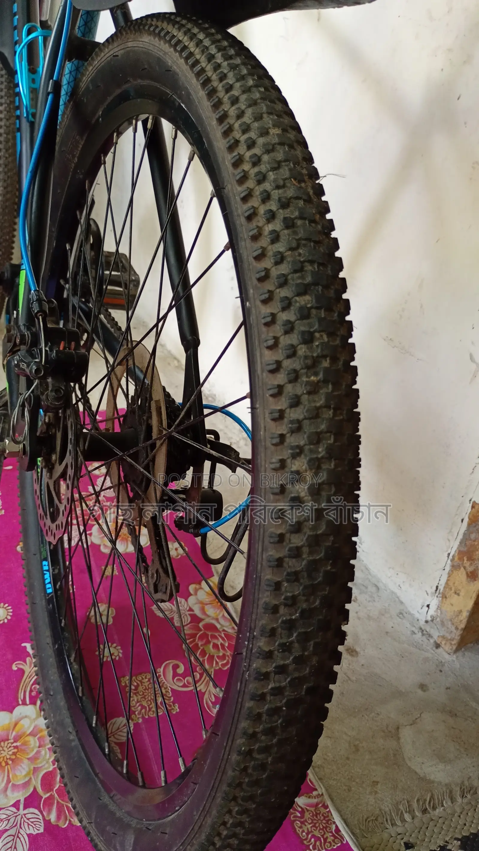 Gear Cycle