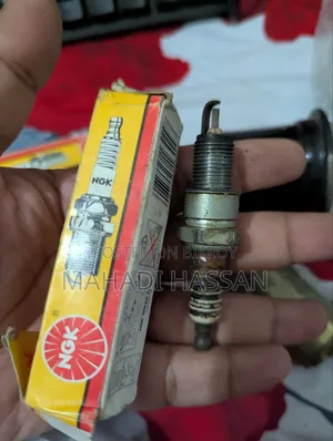 NGK Spark Plug