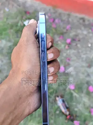 Apple iPhone 13 Pro Max 128 GB Blue
