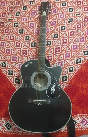 Acoustic Guitar