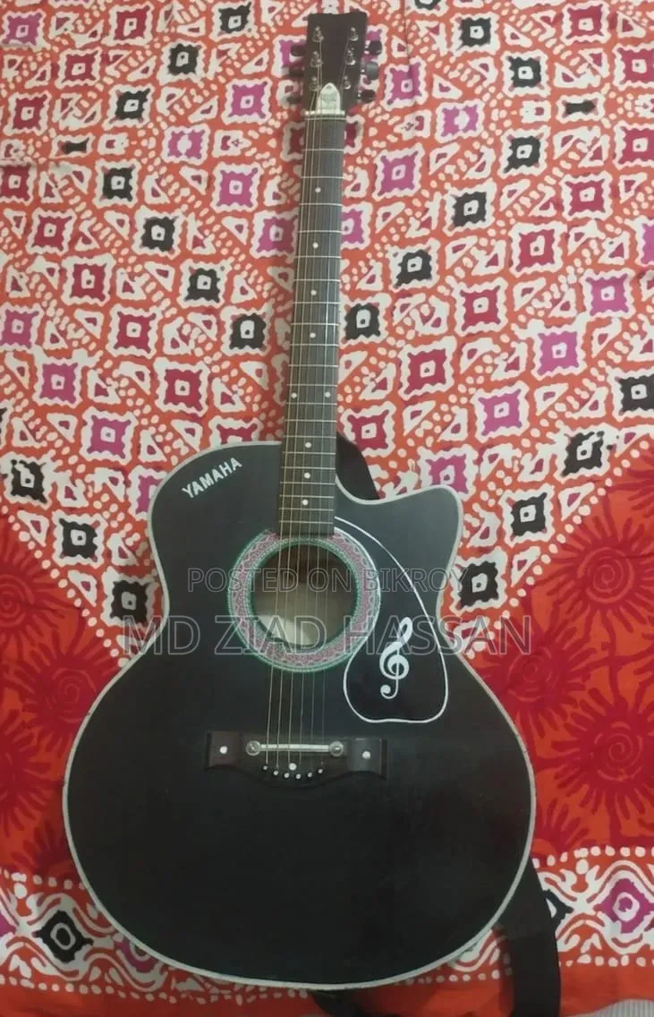 Acoustic Guitar