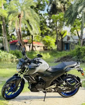 Yamaha FZS V3 2024 Gray