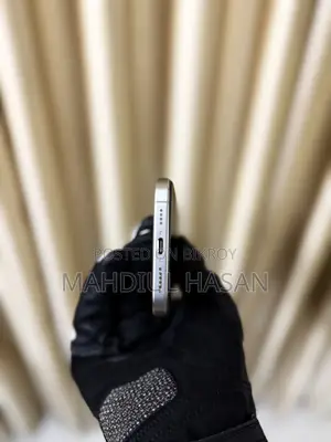 Apple iPhone 16 Pro Max 256 GB Silver
