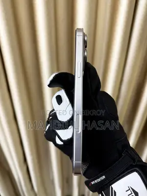 Apple iPhone 16 Pro Max 256 GB Silver