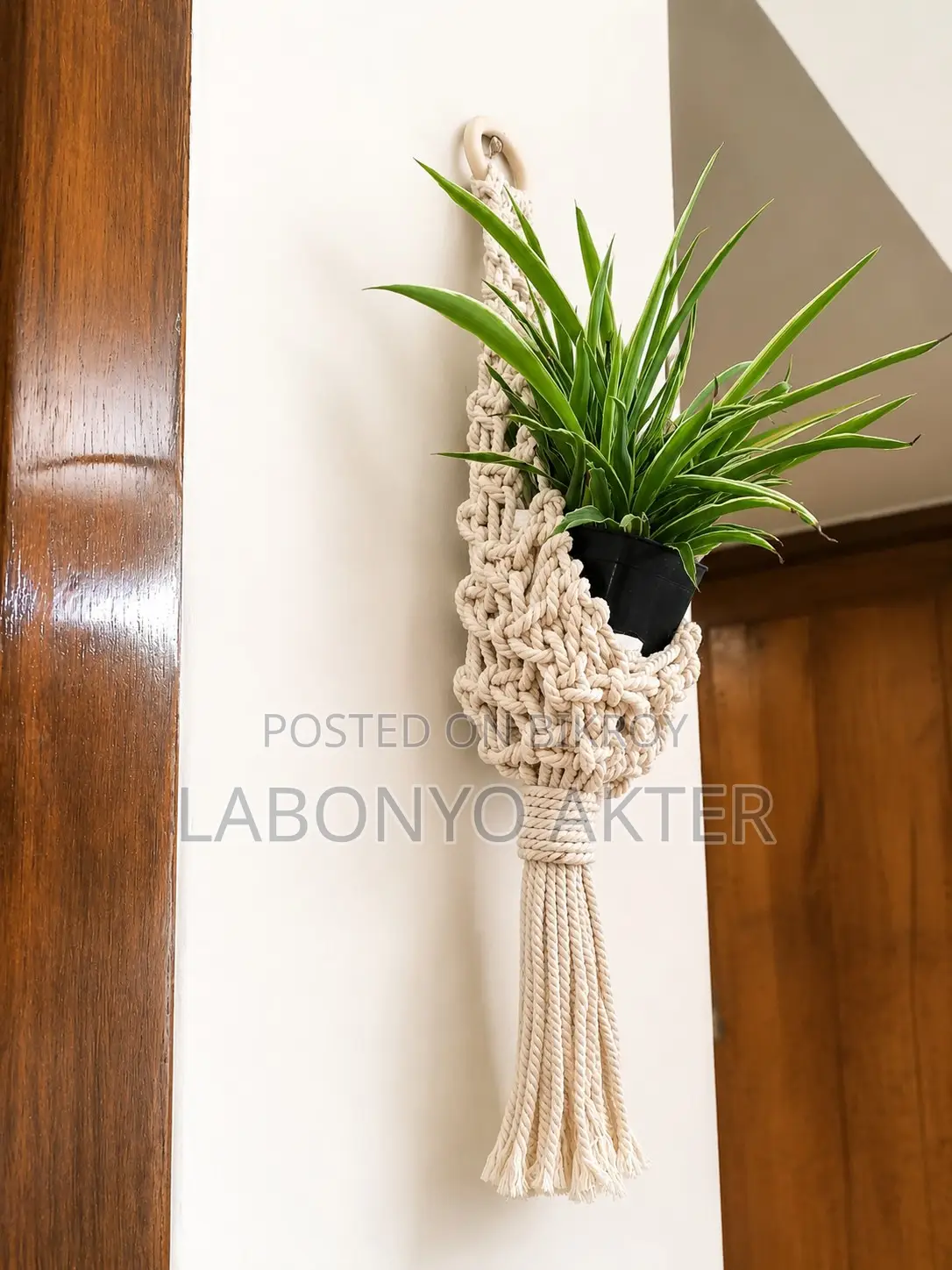 Macrame Handmade Plant Hanger