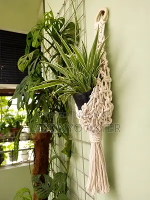 Macrame Handmade Plant Hanger