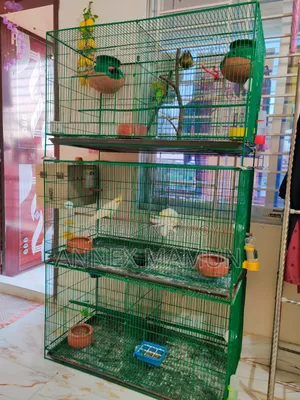 18/36 - 3 Cages (with tray) for sale