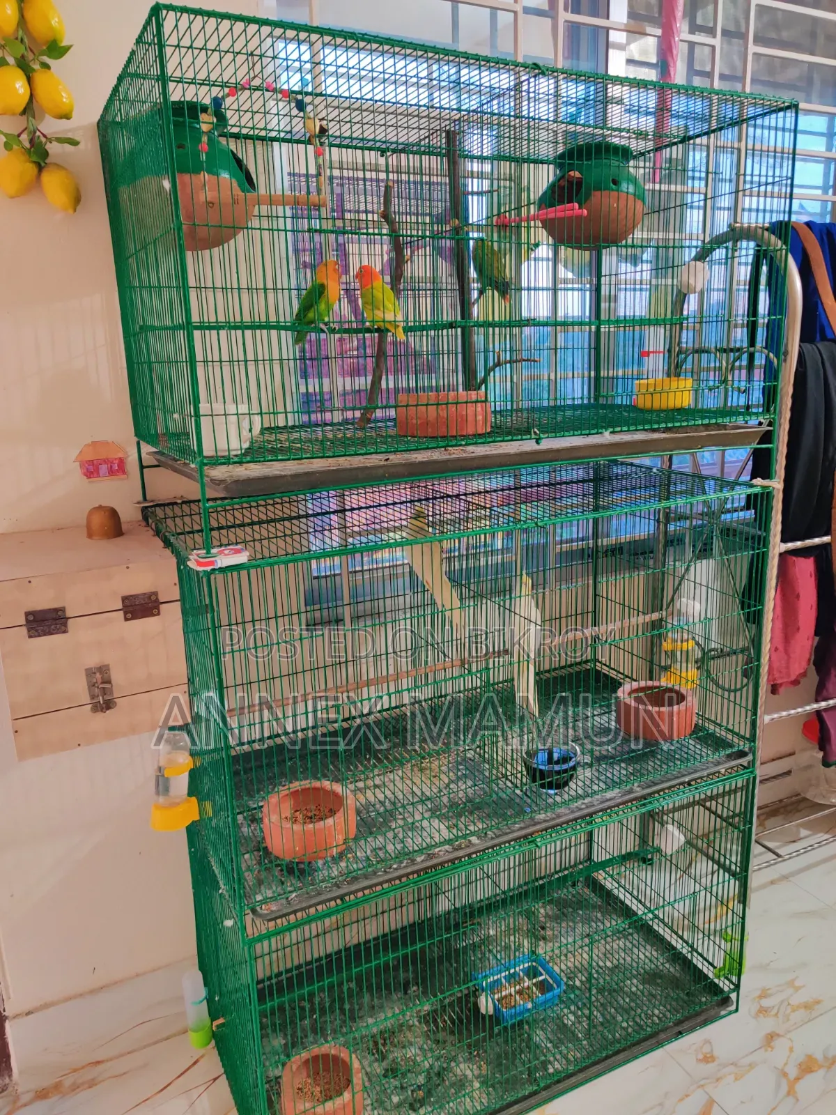 18/36 - 3 Cages (with tray) for sale