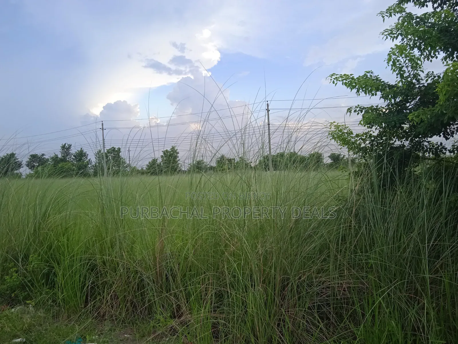 3 Katha plot for sale in Bashundhara P-Ext block