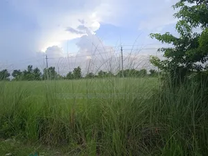 3 Katha plot for sale in Bashundhara P-Ext block