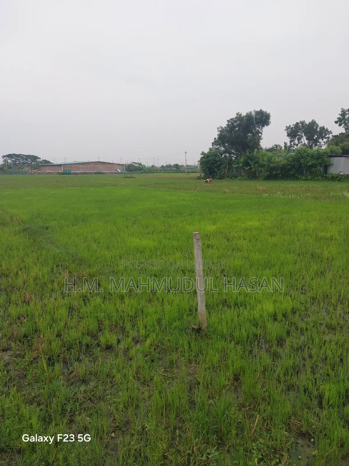 Land Sale Notice