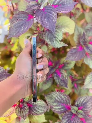 Apple iPhone 12 Pro 128 GB Black