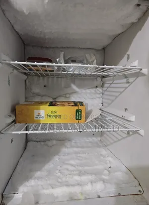 Singer Fridge