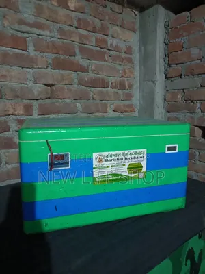 ইনকিউবিটর ৮০ ডিম