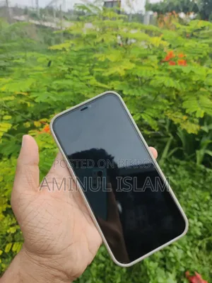 Apple iPhone 12 Pro Max 128 GB