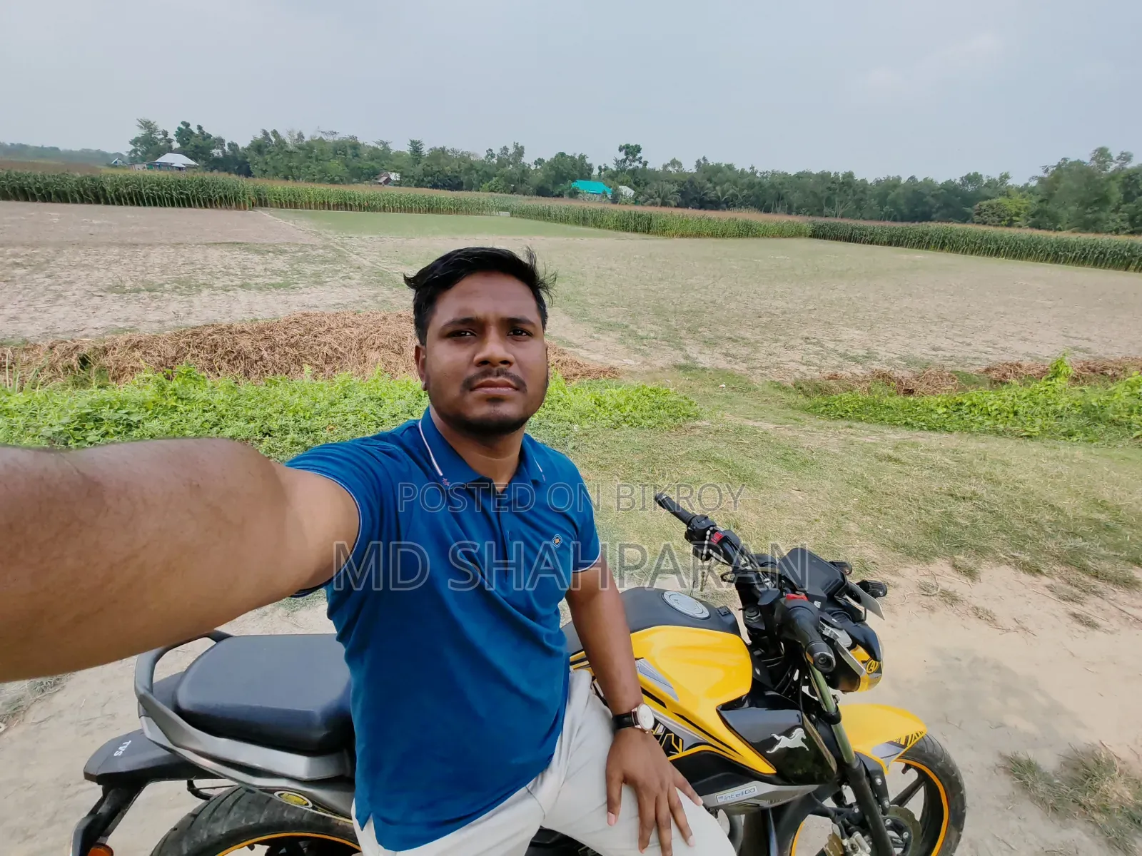 TVS Raider 125 2024 Yellow