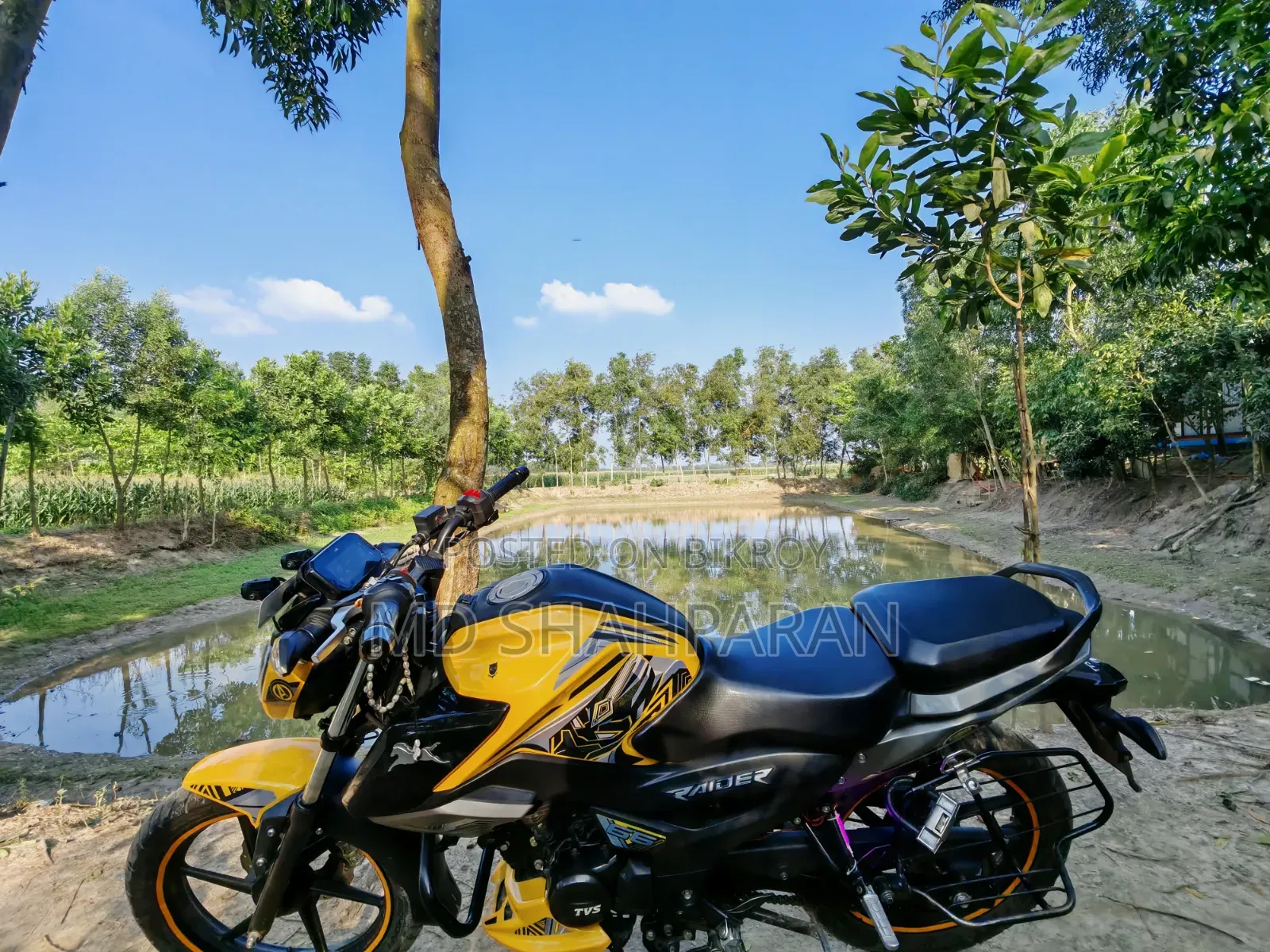 TVS Raider 125 2024 Yellow