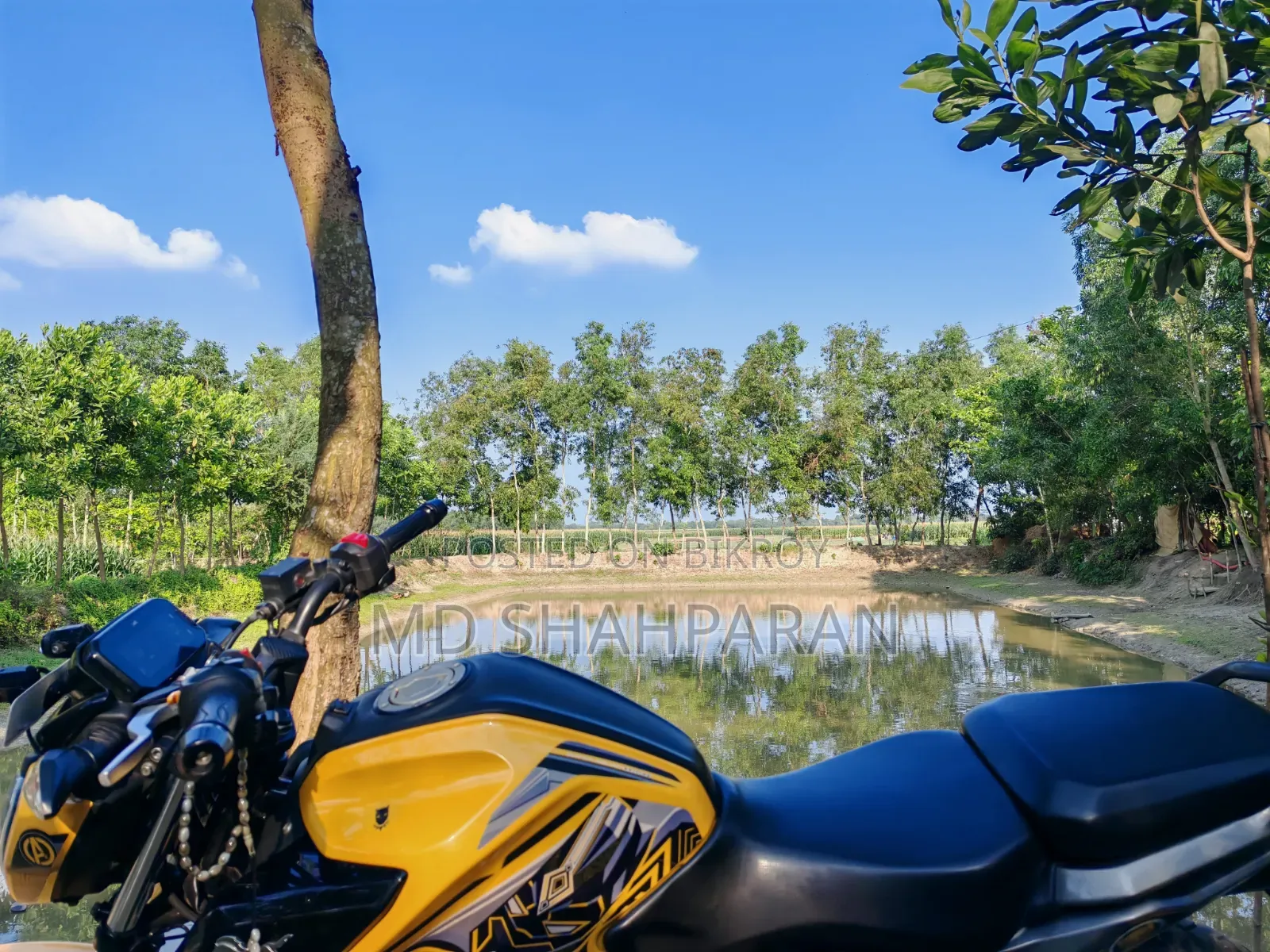 TVS Raider 125 2024 Yellow