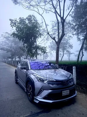 Toyota C-Hr 2017 Silver