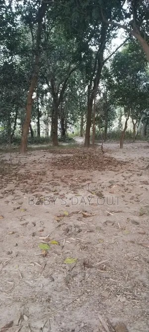 পুকুর সহ একটি ভরাট জায়গা ভাড়া হবে ।