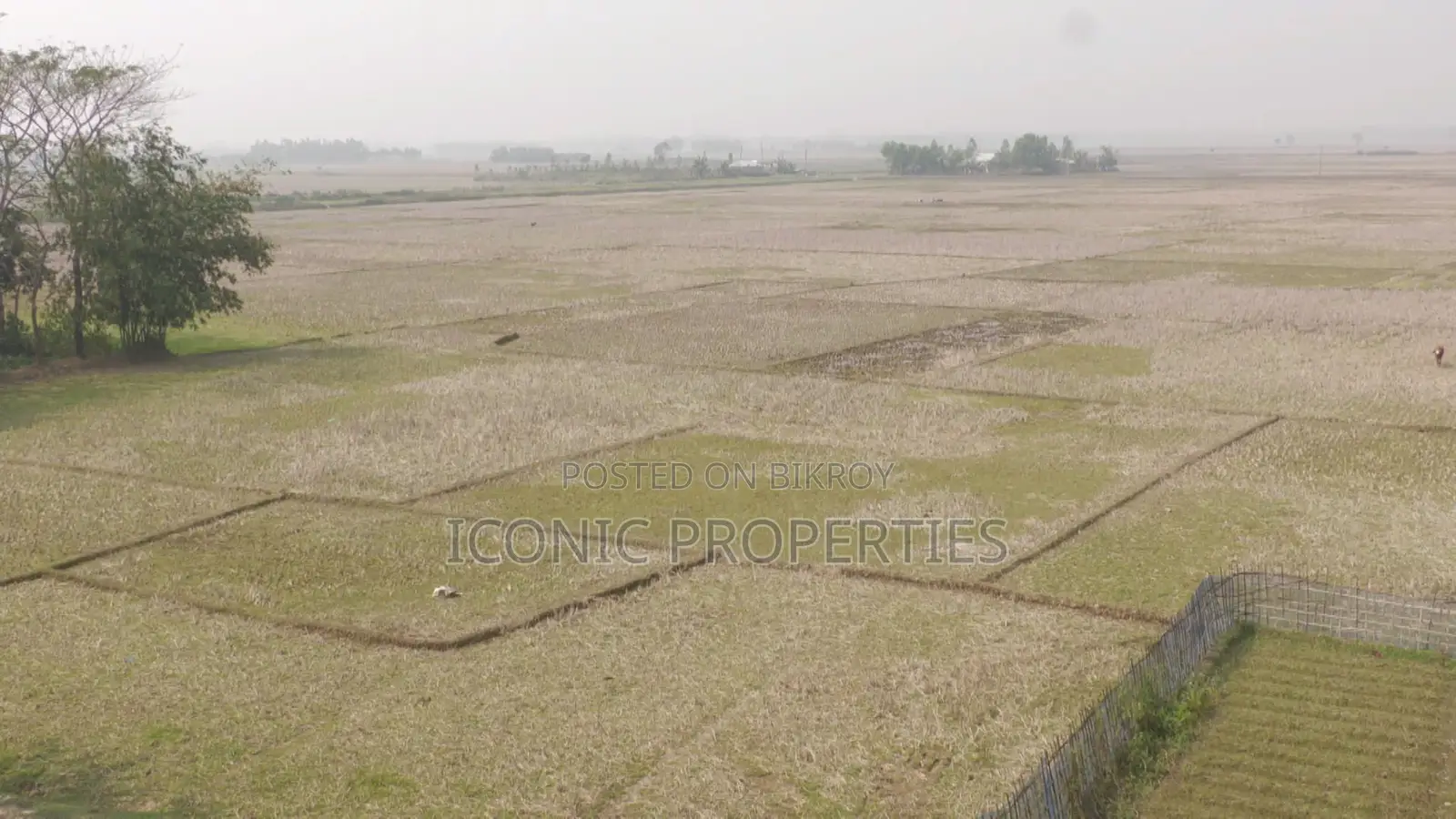মিরসরাই ও ইকোনমিক জোনে আপনার বিশ্বস্ত প্রপার্টি পার্টনার