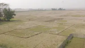 মিরসরাই ও ইকোনমিক জোনে আপনার বিশ্বস্ত প্রপার্টি পার্টনার
