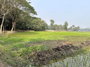 মিরসরাই ও ইকোনমিক জোনে আপনার বিশ্বস্ত প্রপার্টি পার্টনার