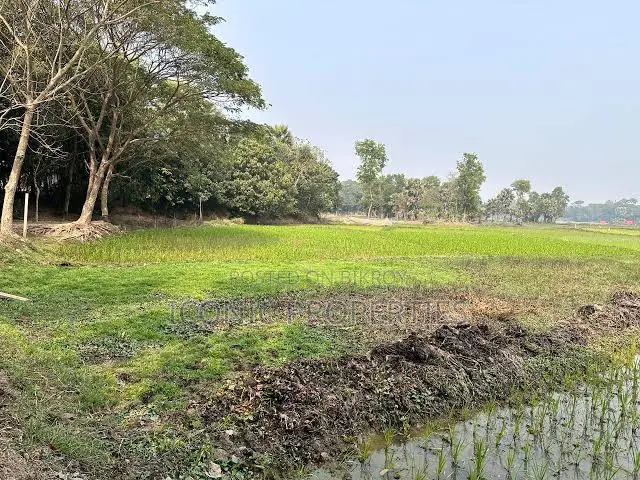 মিরসরাই ও ইকোনমিক জোনে আপনার বিশ্বস্ত প্রপার্টি পার্টনার