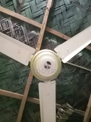 Kashmiri Ceiling Fan