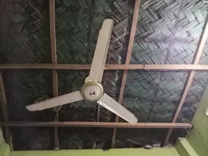 Kashmiri Ceiling Fan