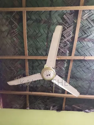 Kashmiri Ceiling Fan